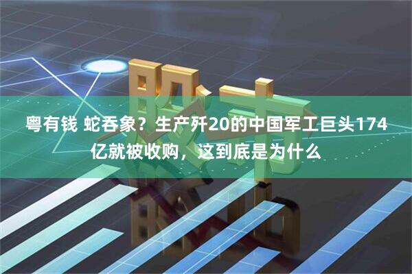 粤有钱 蛇吞象？生产歼20的中国军工巨头174亿就被收购，这到底是为什么