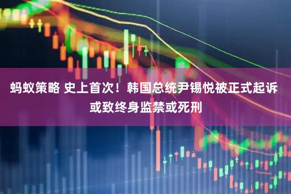 蚂蚁策略 史上首次！韩国总统尹锡悦被正式起诉 或致终身监禁或死刑