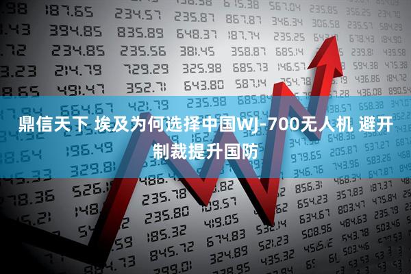 鼎信天下 埃及为何选择中国WJ-700无人机 避开制裁提升国防