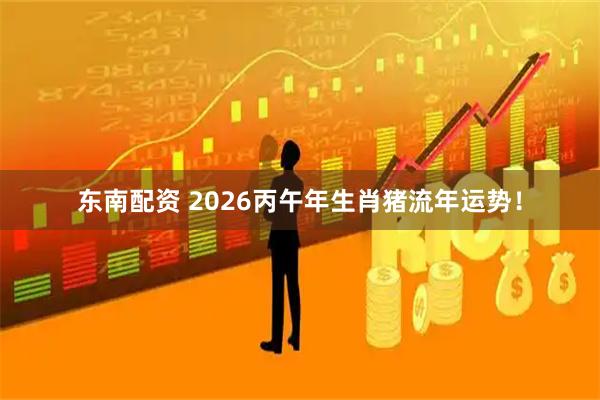 东南配资 2026丙午年生肖猪流年运势！